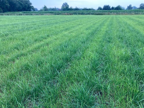 SDI-E_NL_GIJS_Pilot_ 08