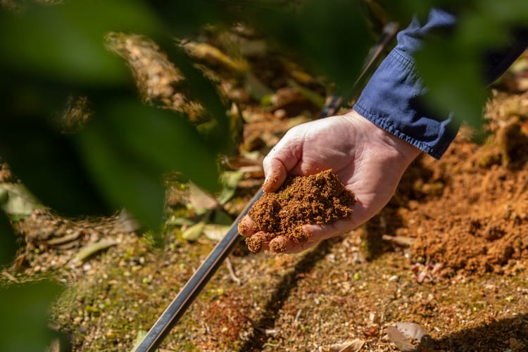 Fertigatie: hogere gewasopbrengst, minder verspilling 