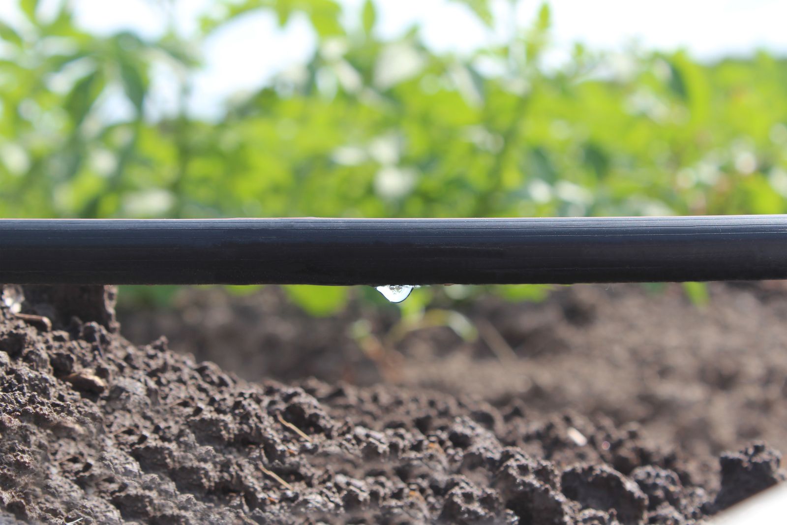 Duurzaam en circulair