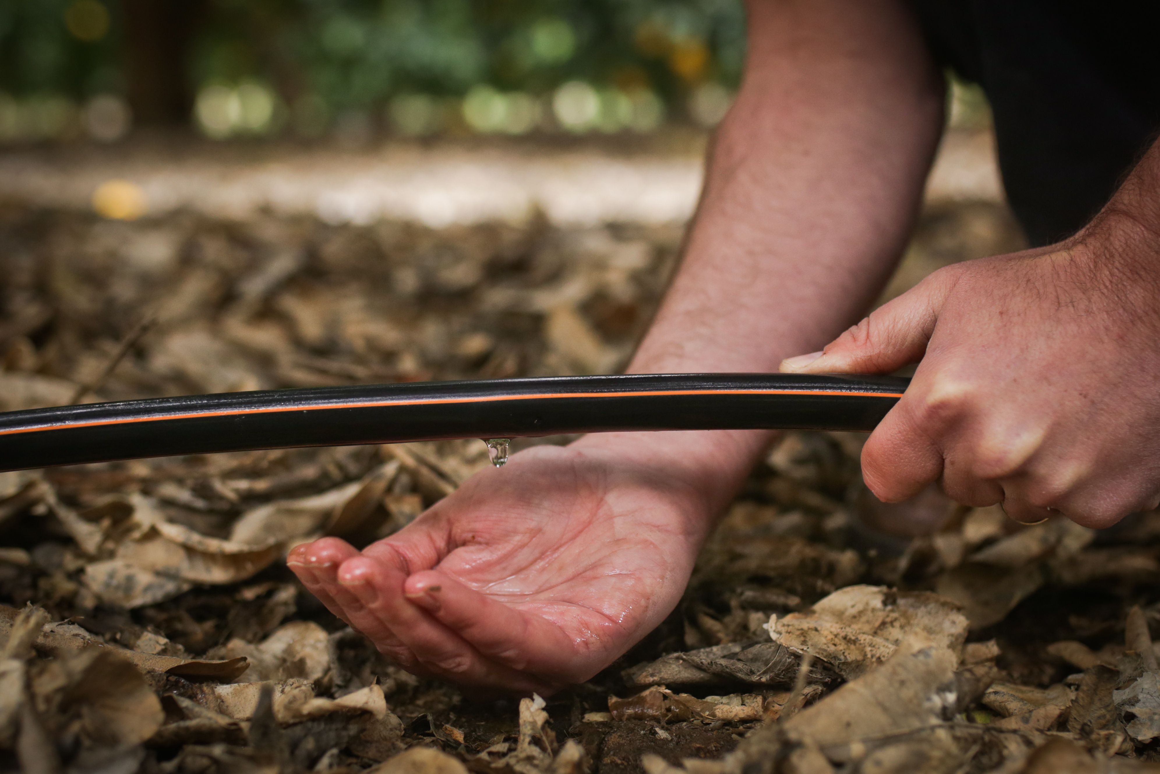 Druppelirrigatie : Met minder, meer voortbrengen