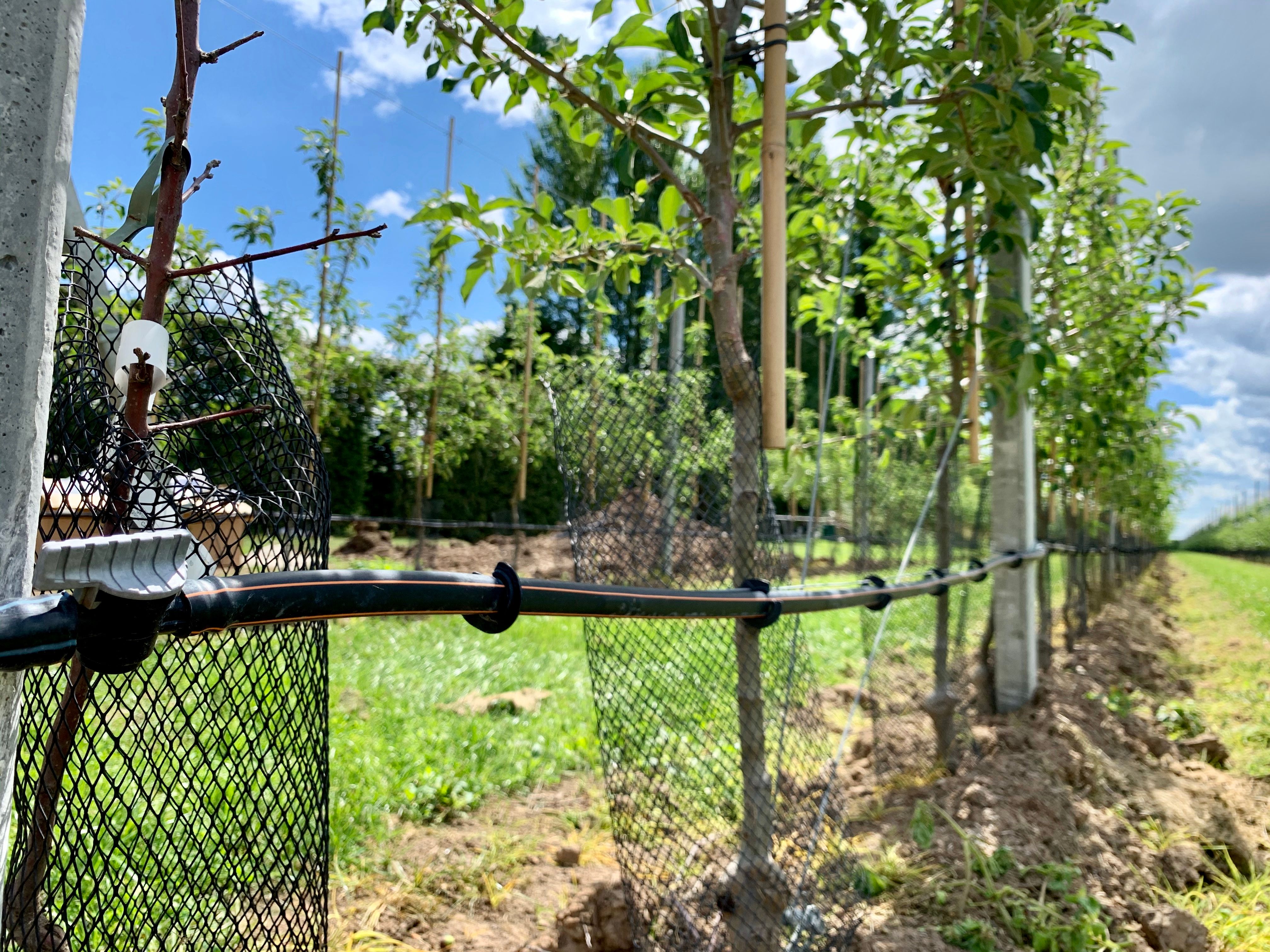 Innovatie ten behoeve van irrigatie doeltreffendheid