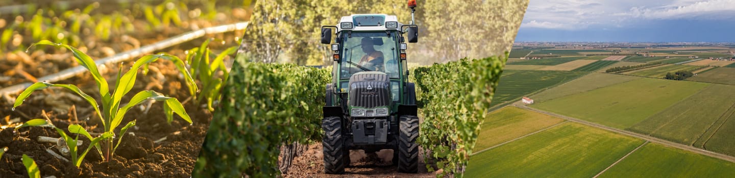 Van de plant tot de planeet - iedereen wint. Dit zijn de voordelen van precisie-irrigatie voor: 